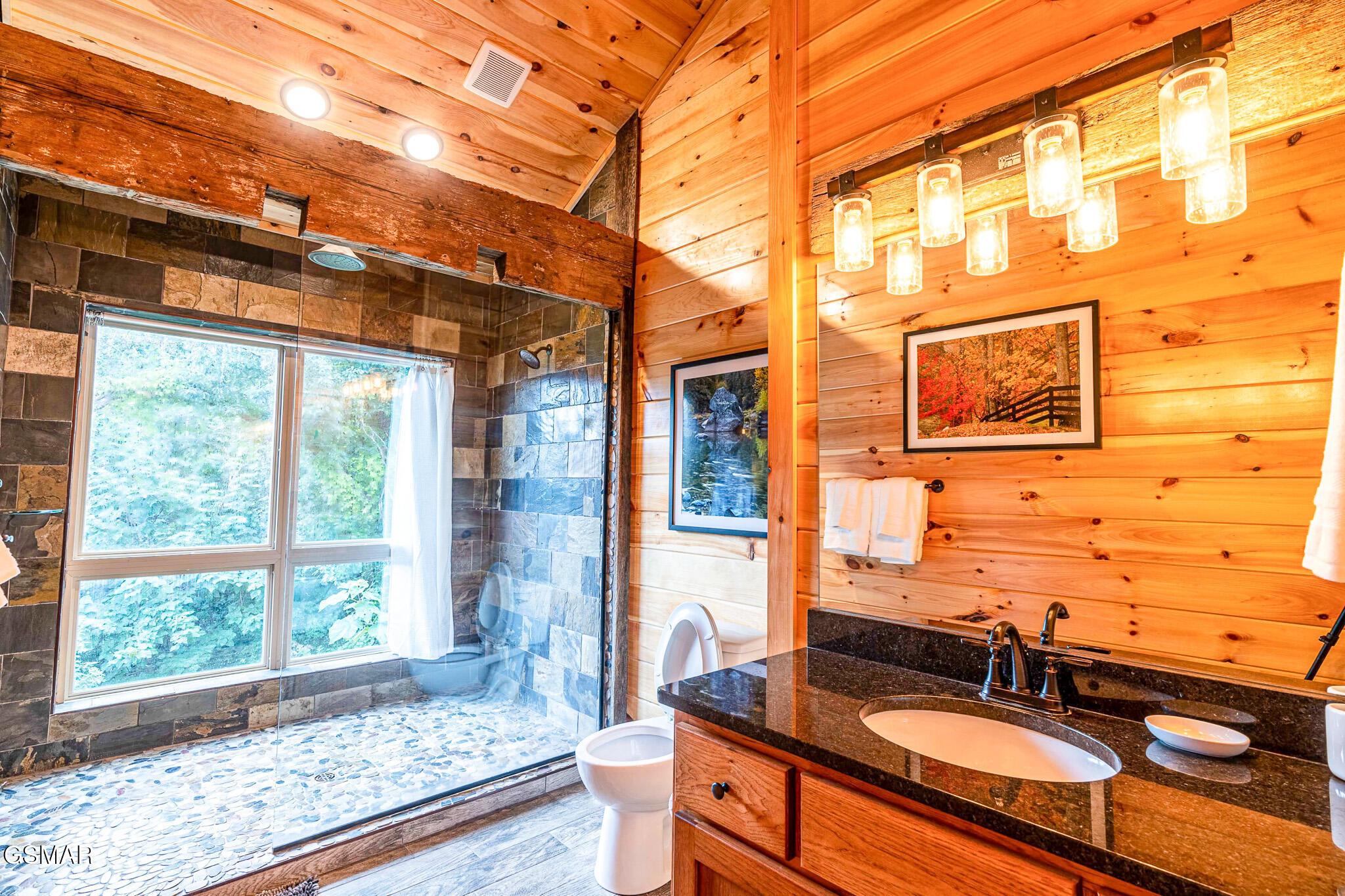 1854 Billard Way Sevierville TN 37876