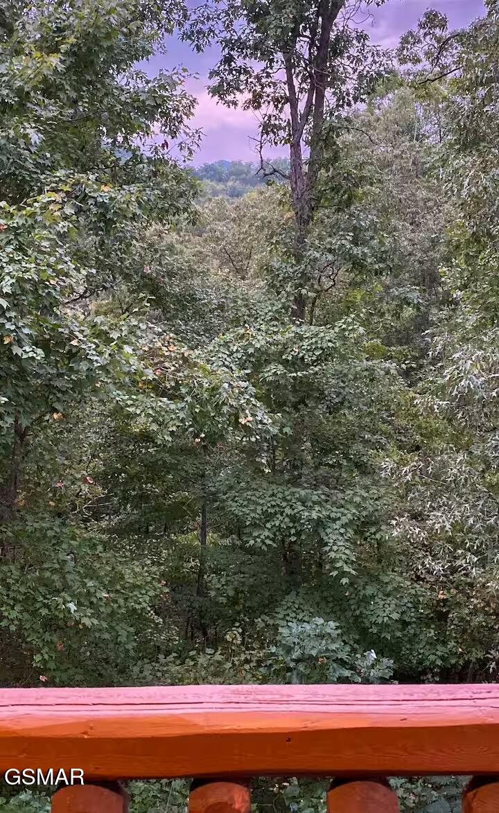 4532 Holly Forest Way Gatlinburg TN 37738