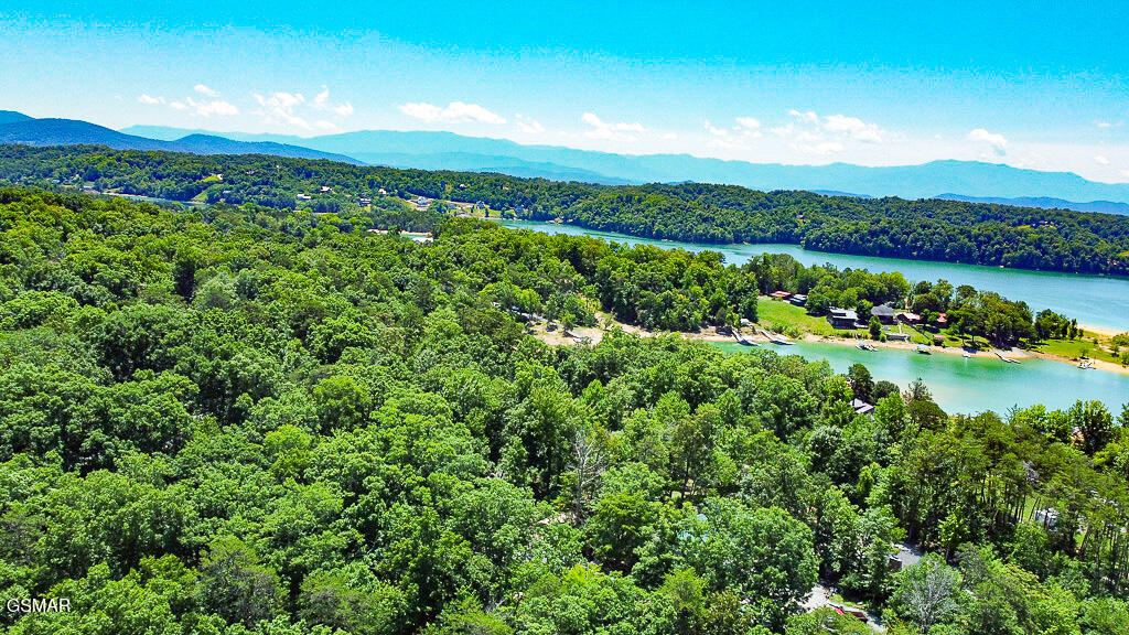 902 Lake View Road Sevierville TN 37876
