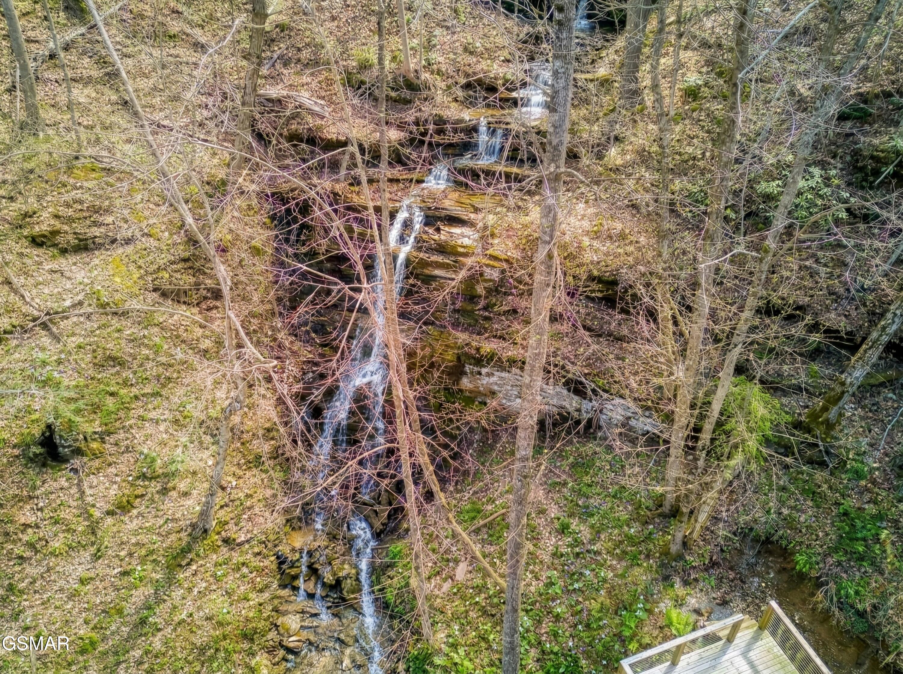 3119 Mitzi Way Sevierville TN 37862