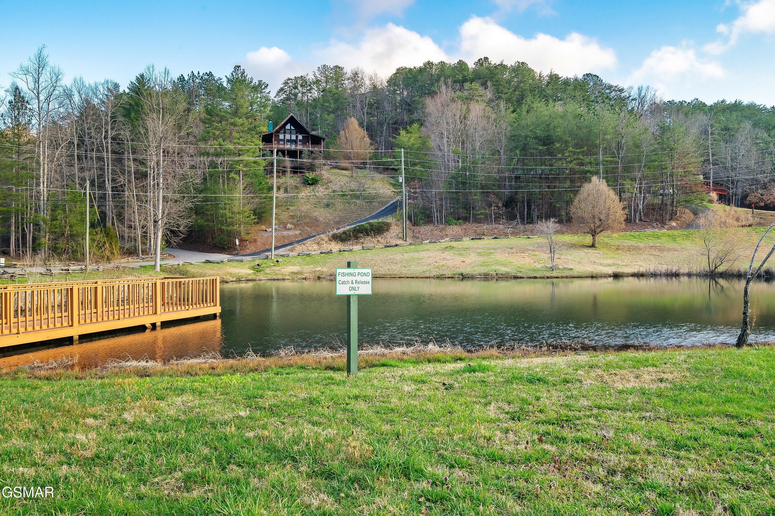 2603 June Bug Way Sevierville TN 37862