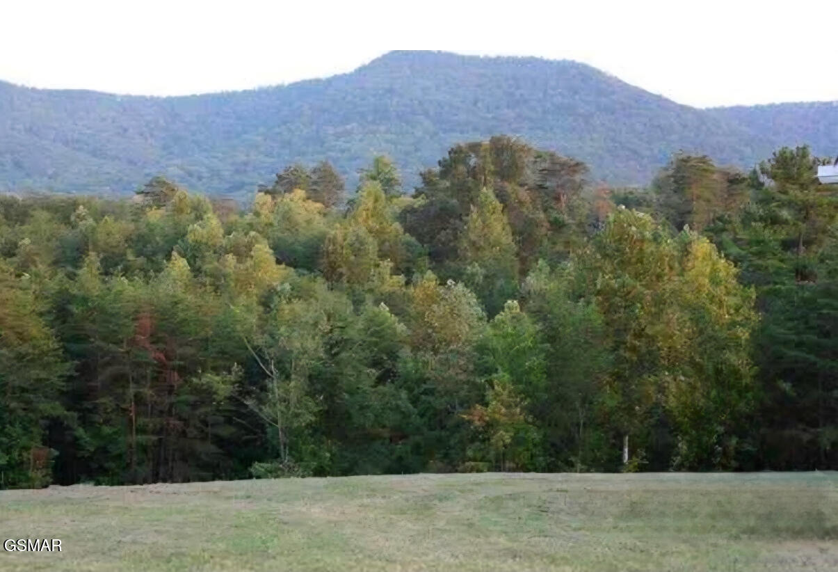 144 Burning Oaks Drive Drive Sevierville TN 37876