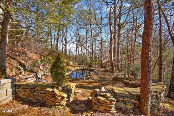 549 Geneva Drive Gatlinburg TN 37738