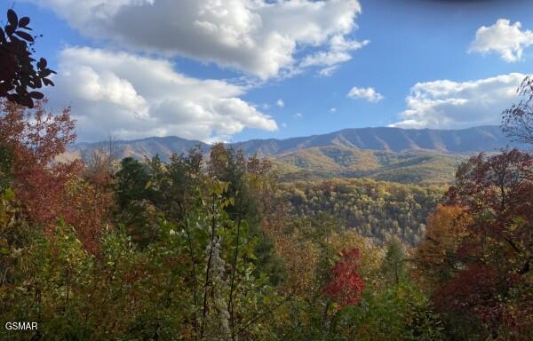 549 Geneva Drive Gatlinburg TN 37738