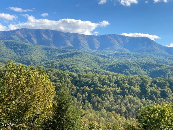 549 Geneva Drive Gatlinburg TN 37738