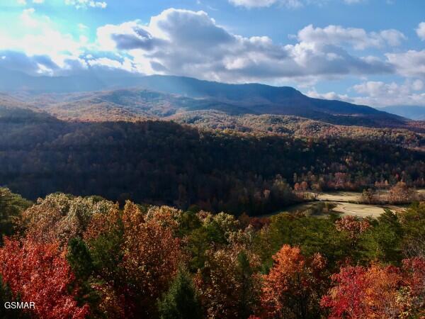 549 Geneva Drive Gatlinburg TN 37738