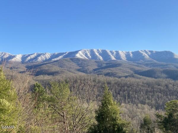 549 Geneva Drive Gatlinburg TN 37738