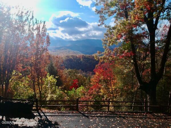 549 Geneva Drive Gatlinburg TN 37738