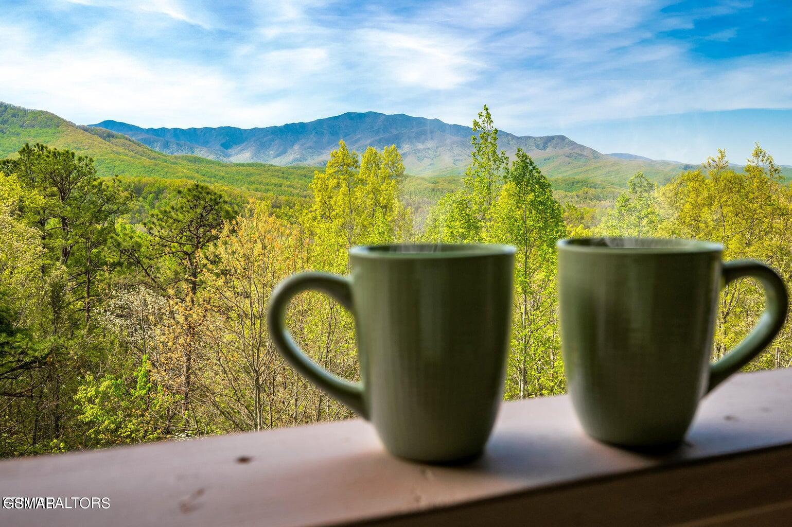 859 Pinnacle Vista Road Gatlinburg TN 37738