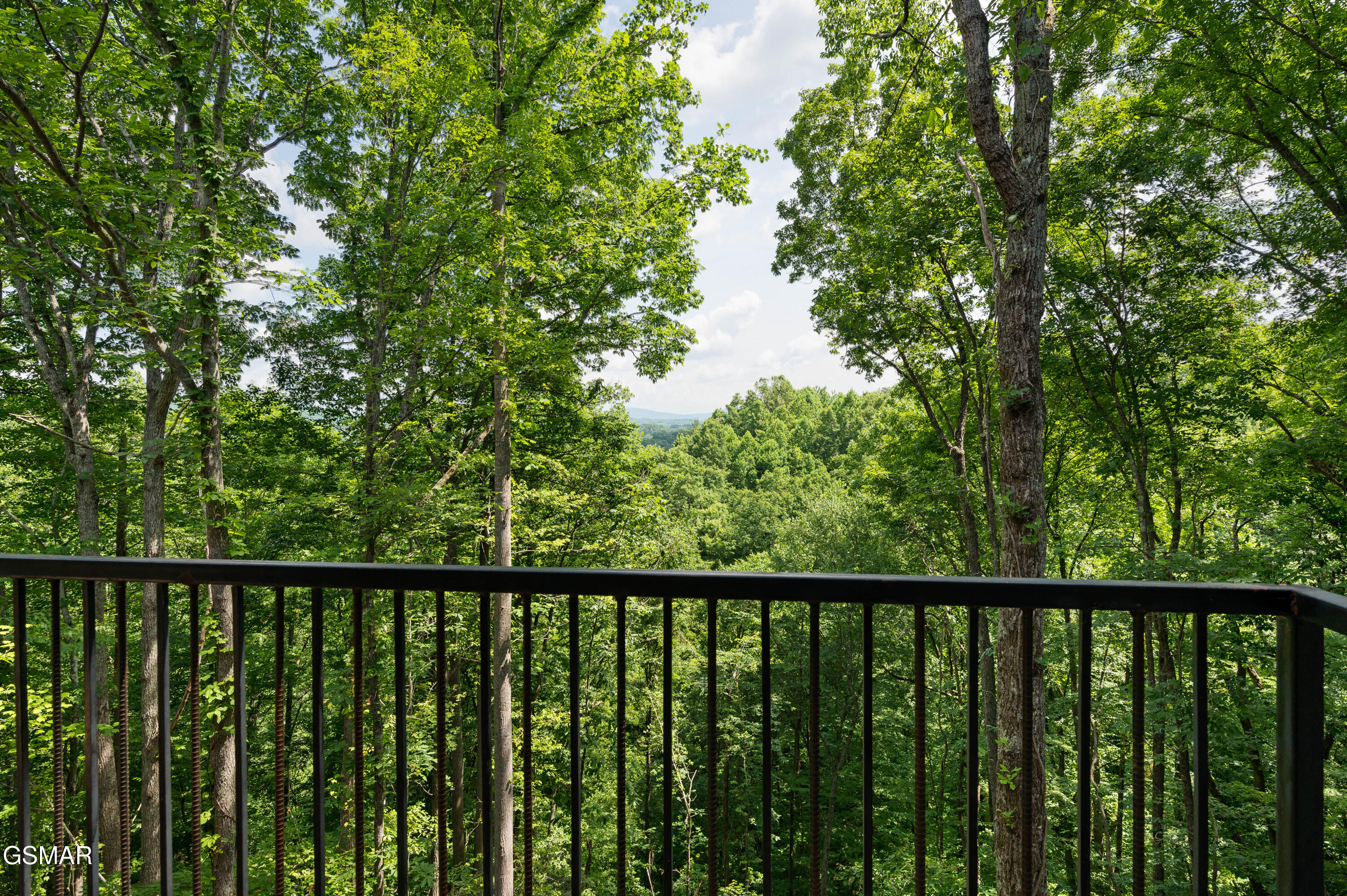 4222 Dollys Drive Sevierville TN 37876