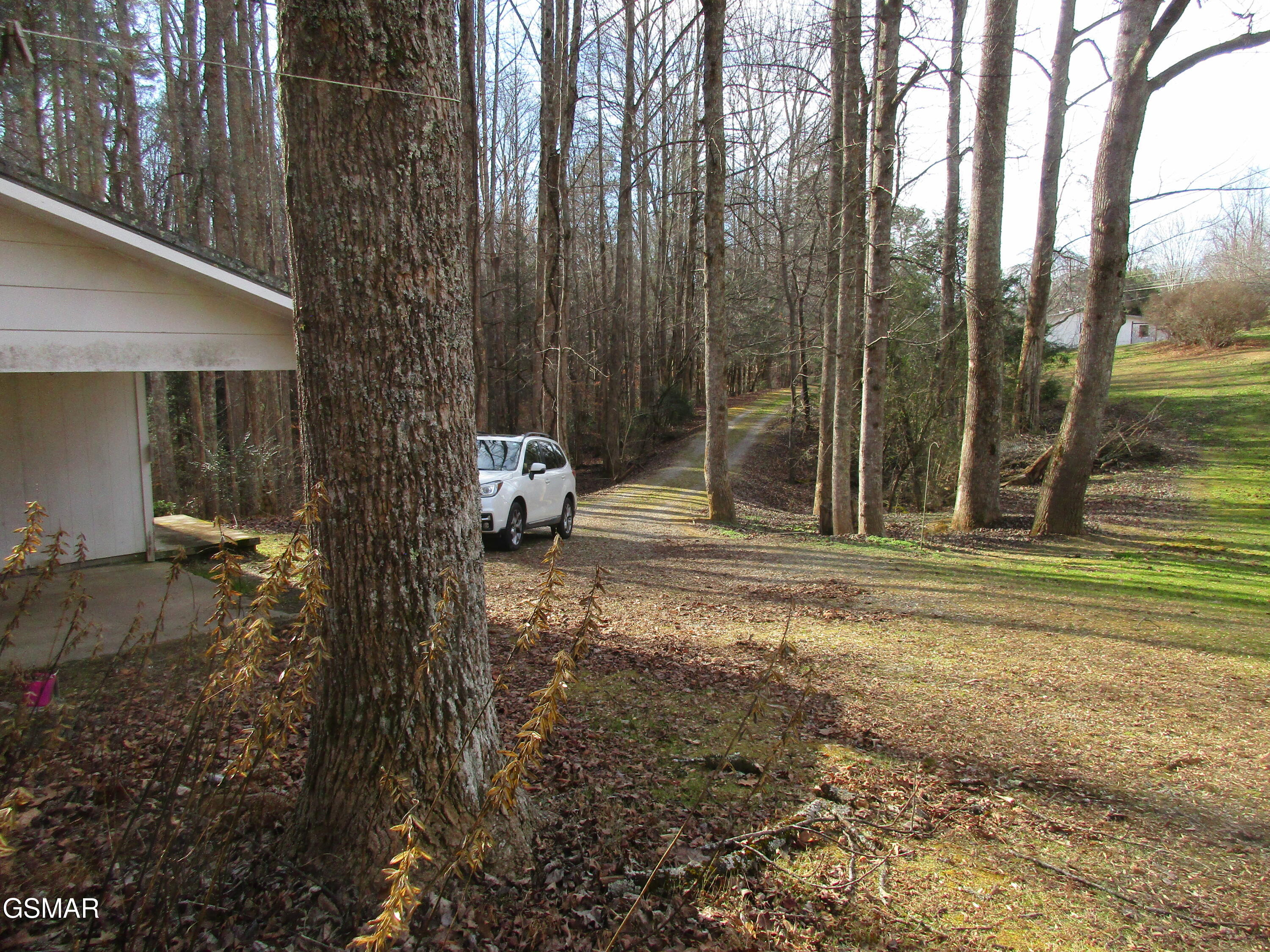 4317 Lindsey Gap Cosby TN 37722