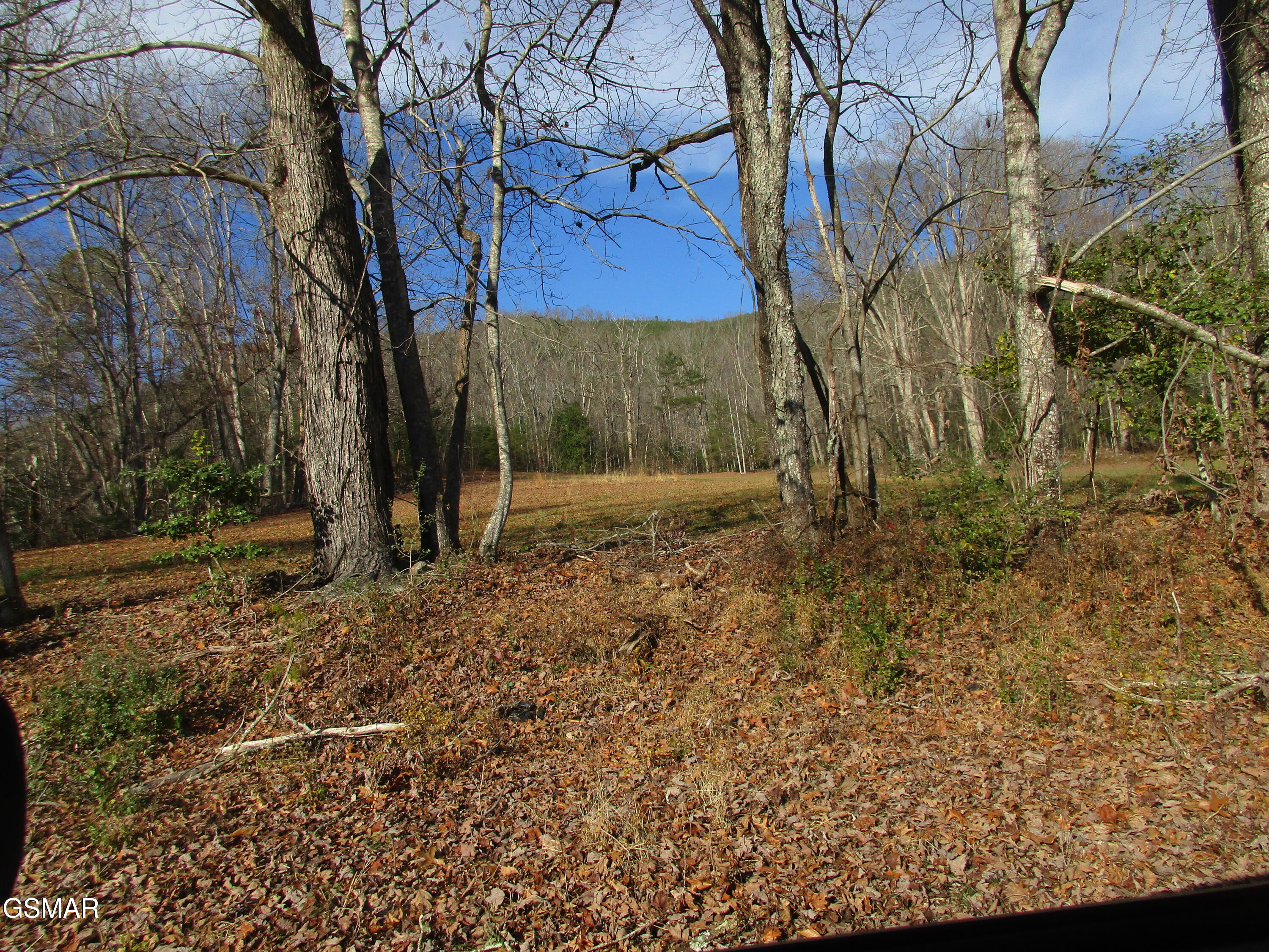 4317 Lindsey Gap Cosby TN 37722