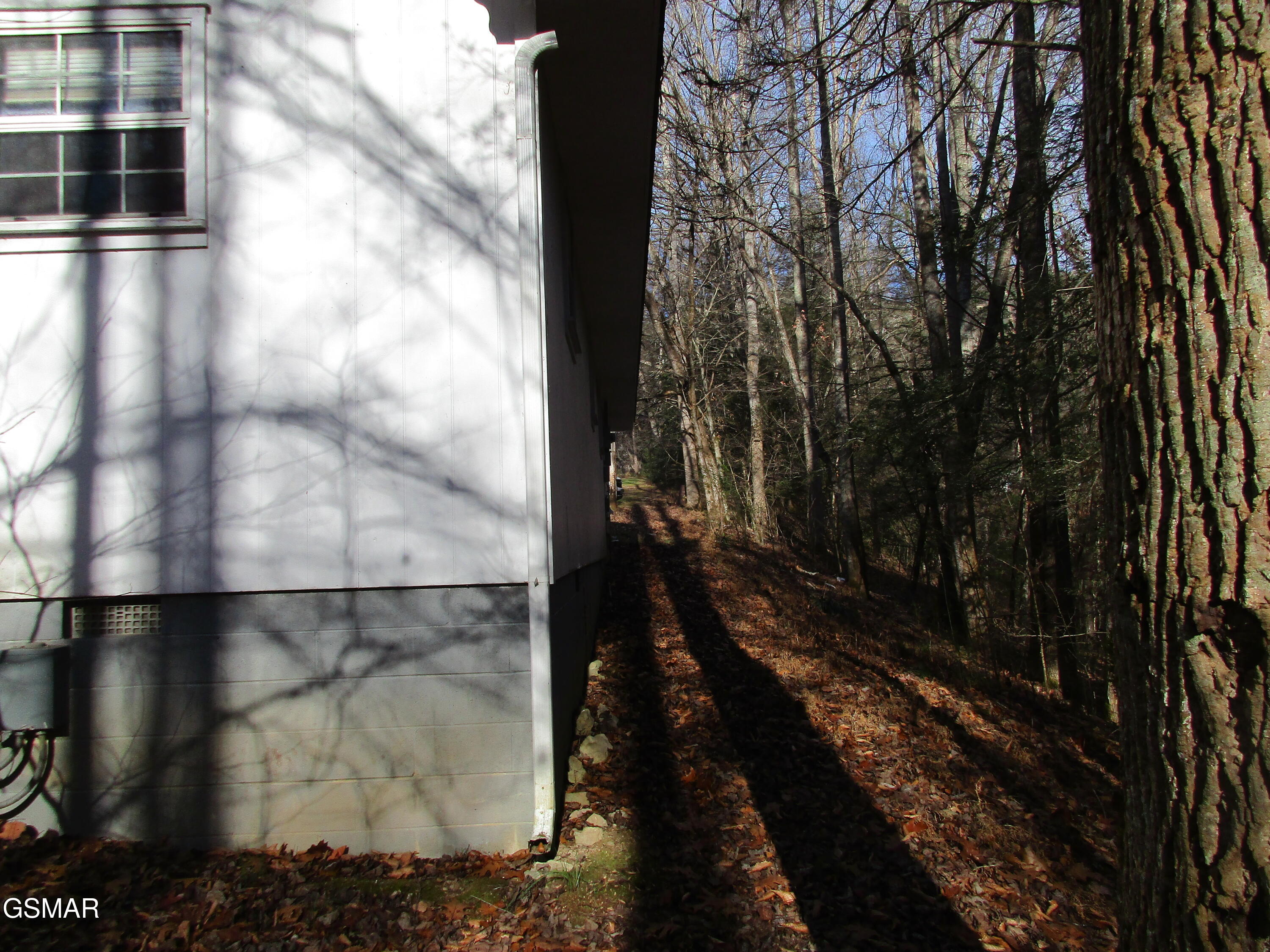 4317 Lindsey Gap Cosby TN 37722