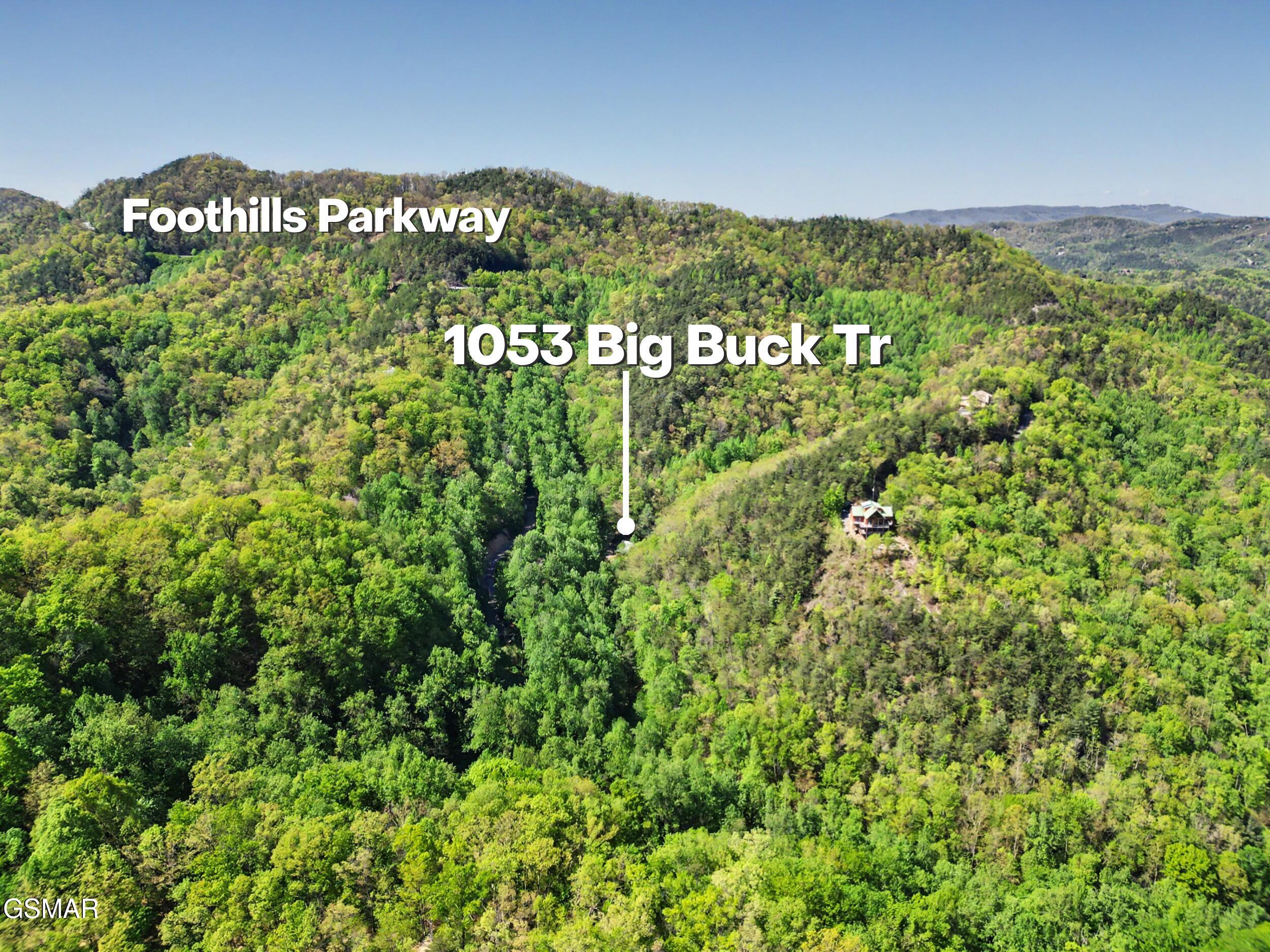1053 Big Buck Trail Townsend TN 37882