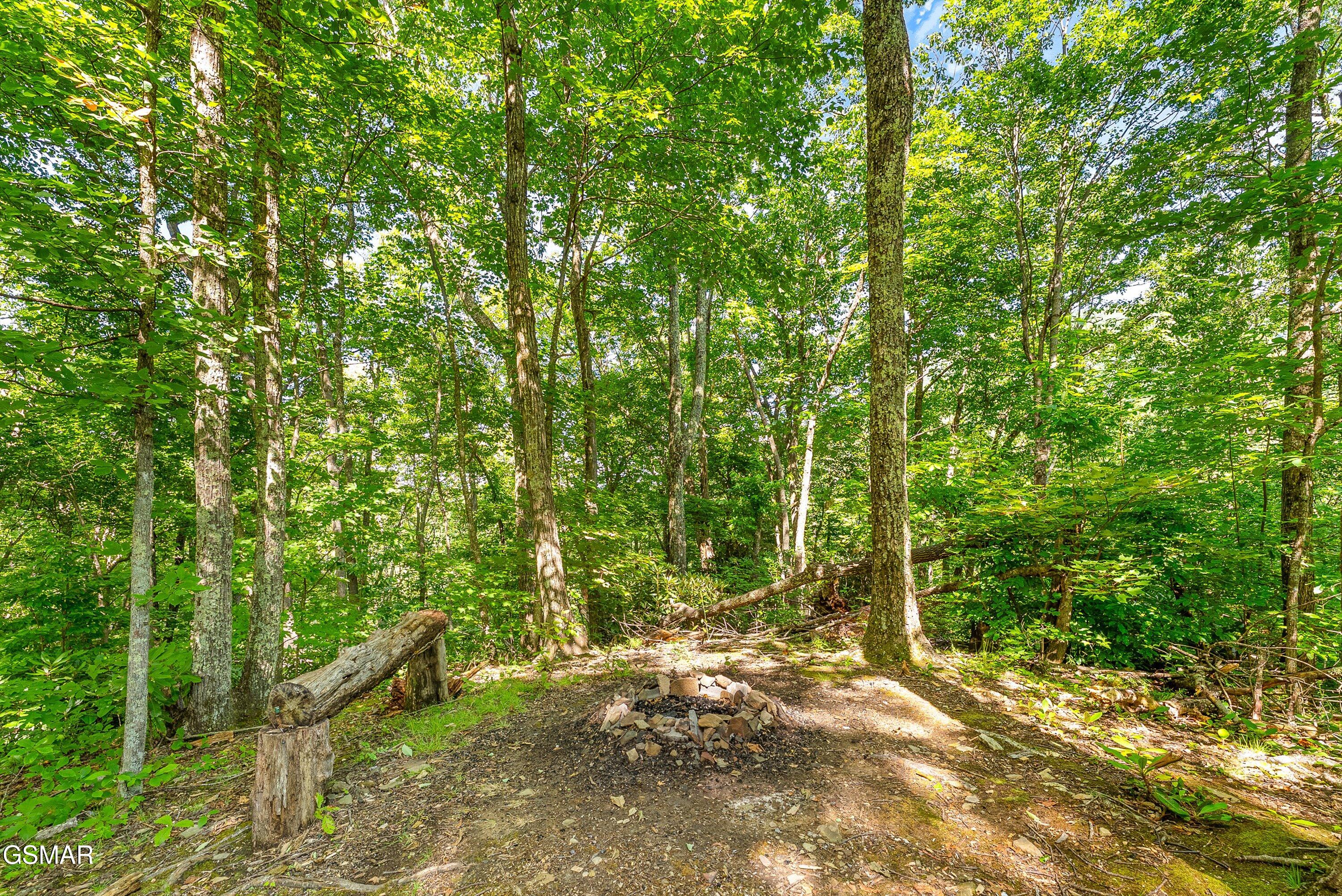 1222 S Highway 32 Cosby TN 37722