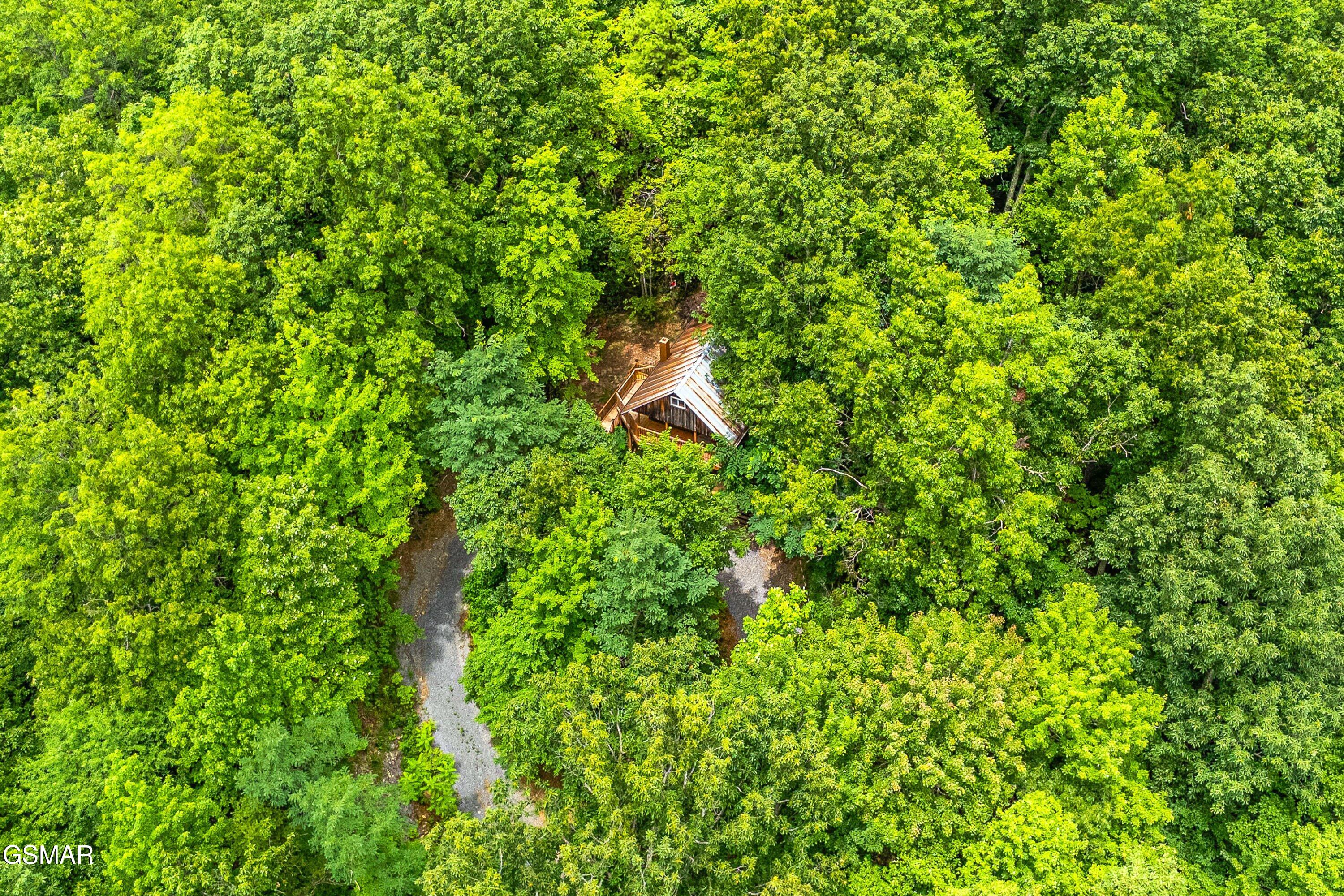 1222 S Highway 32 Cosby TN 37722