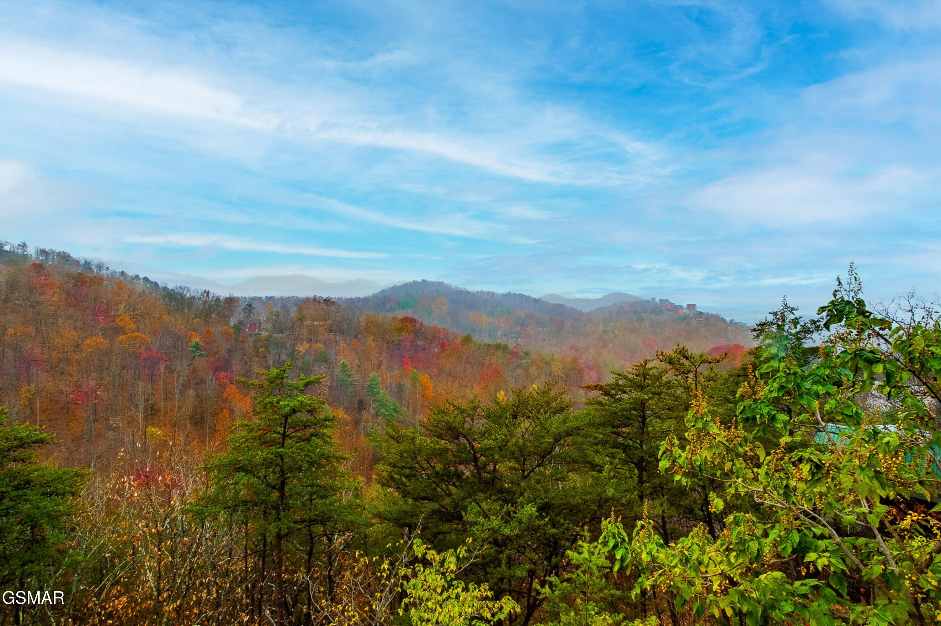 920 Falcon View Way Sevierville TN 37862