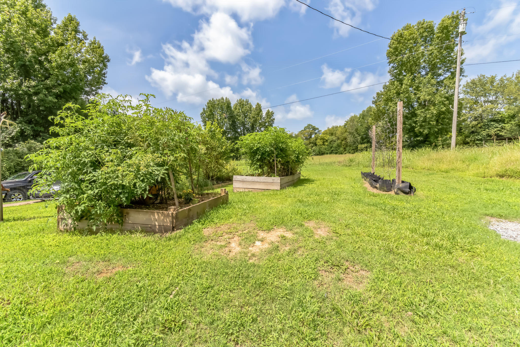 4674 Highway 64 Pulaski TN 38478