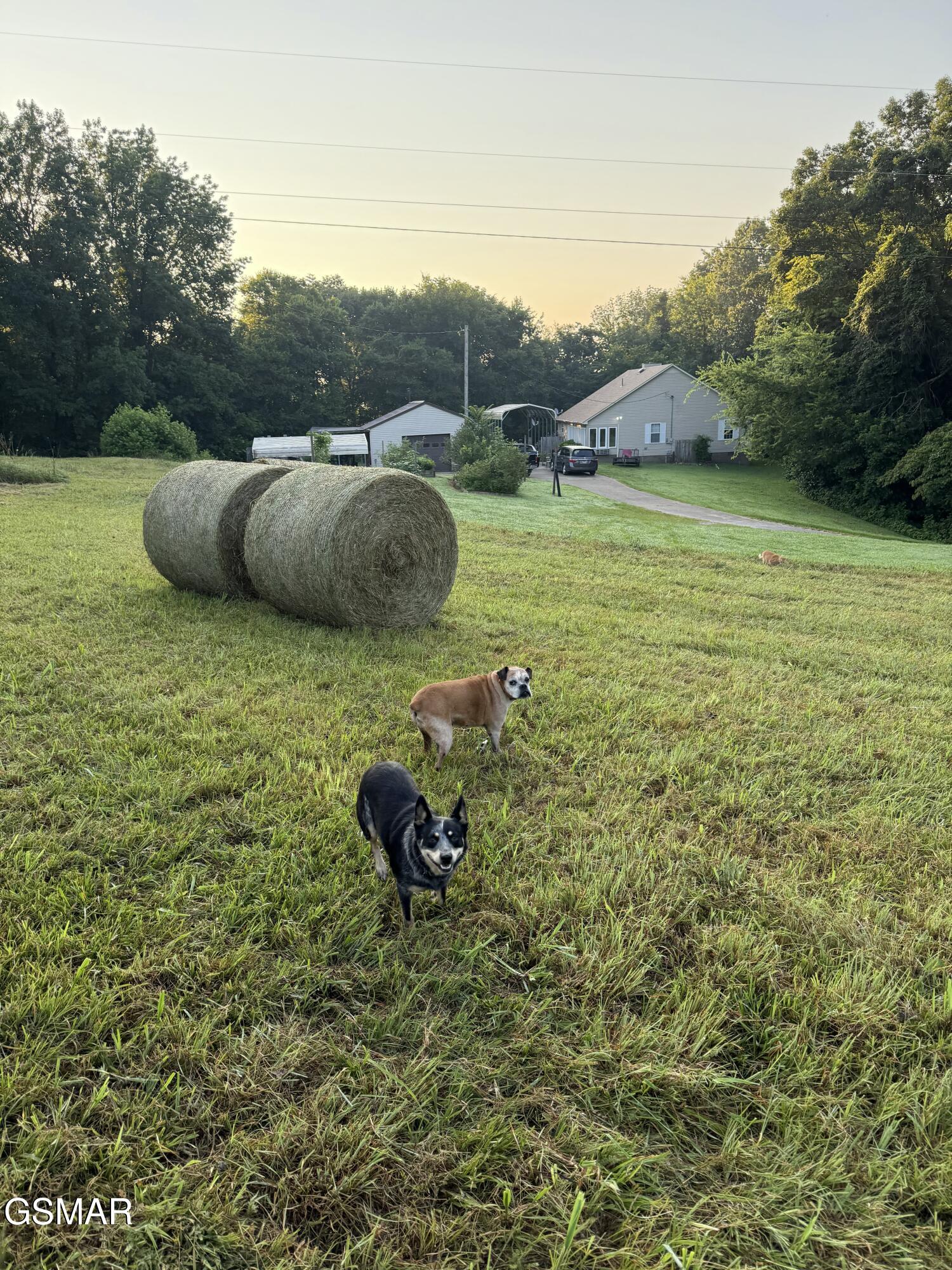 4674 Highway 64 Pulaski TN 38478