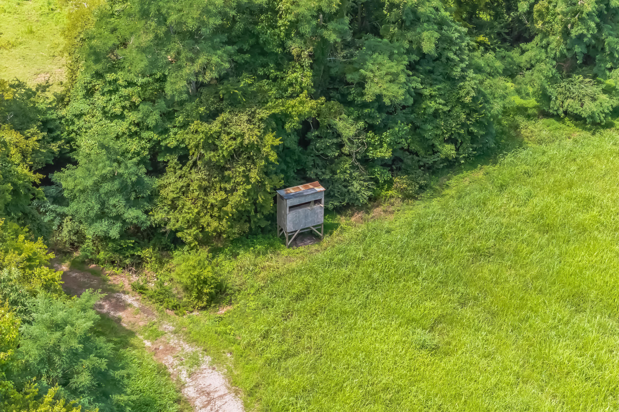 4674 Highway 64 Pulaski TN 38478