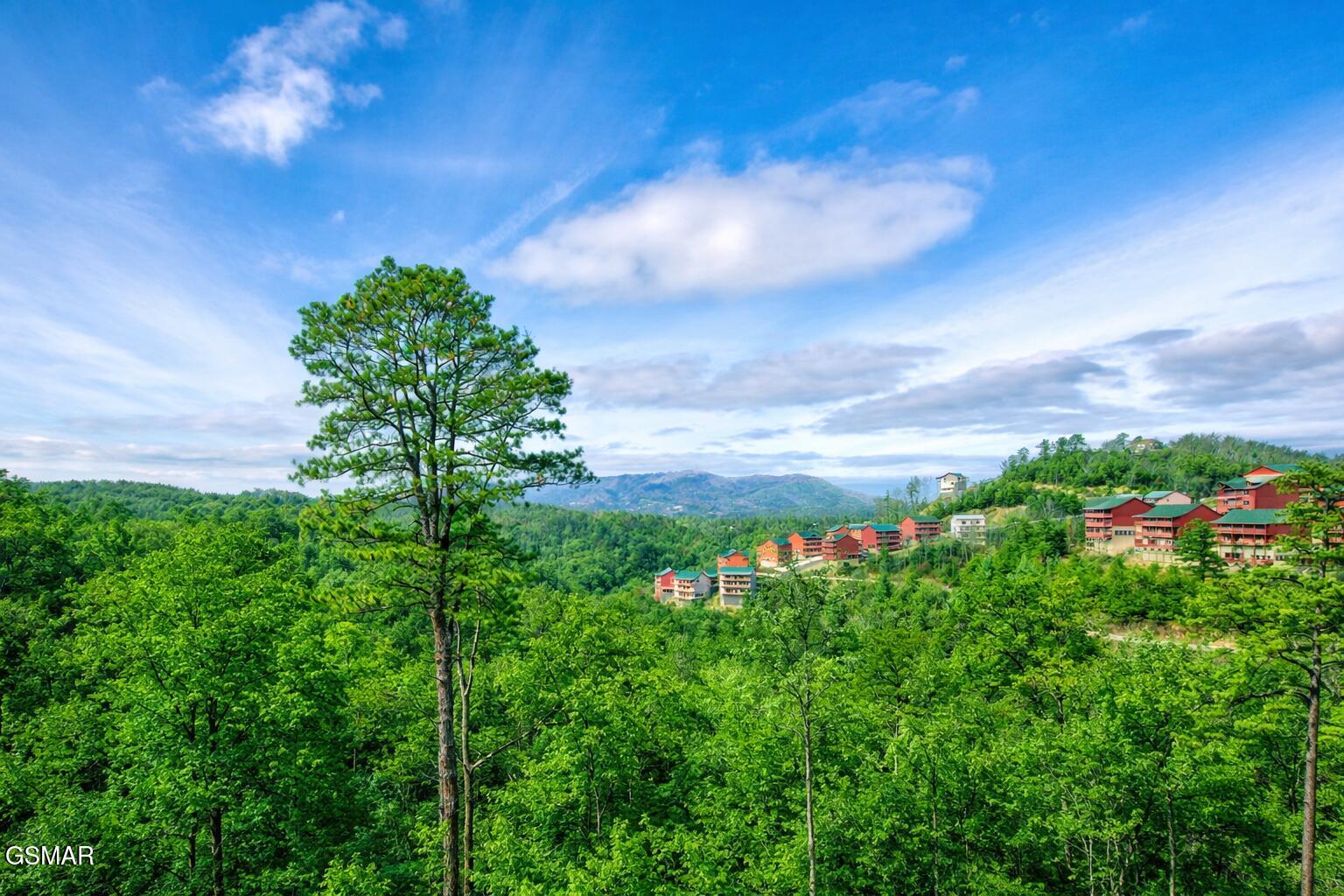3704 Tilda Hilltop Way Sevierville TN 37862