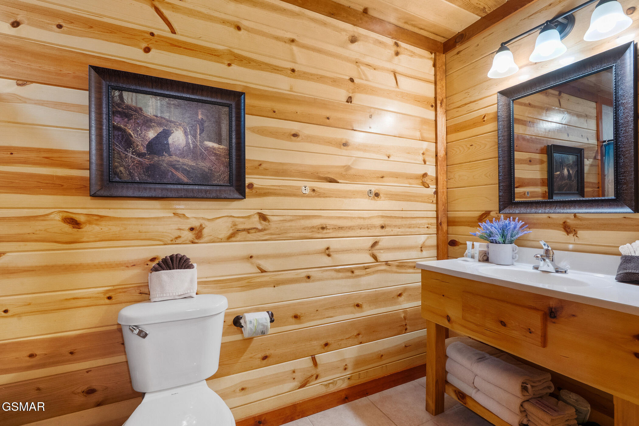 3704 Tilda Hilltop Way Sevierville TN 37862