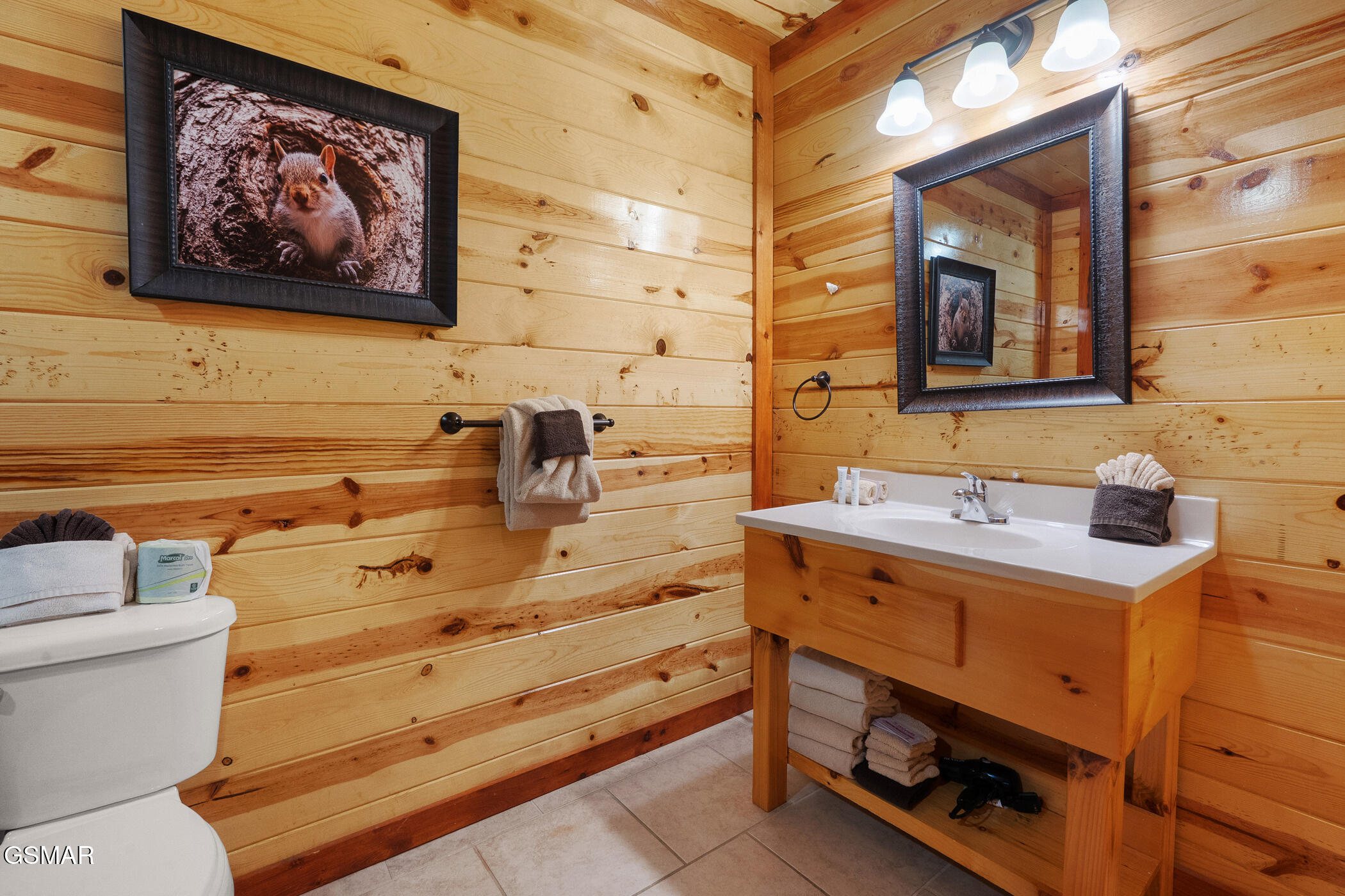 3704 Tilda Hilltop Way Sevierville TN 37862