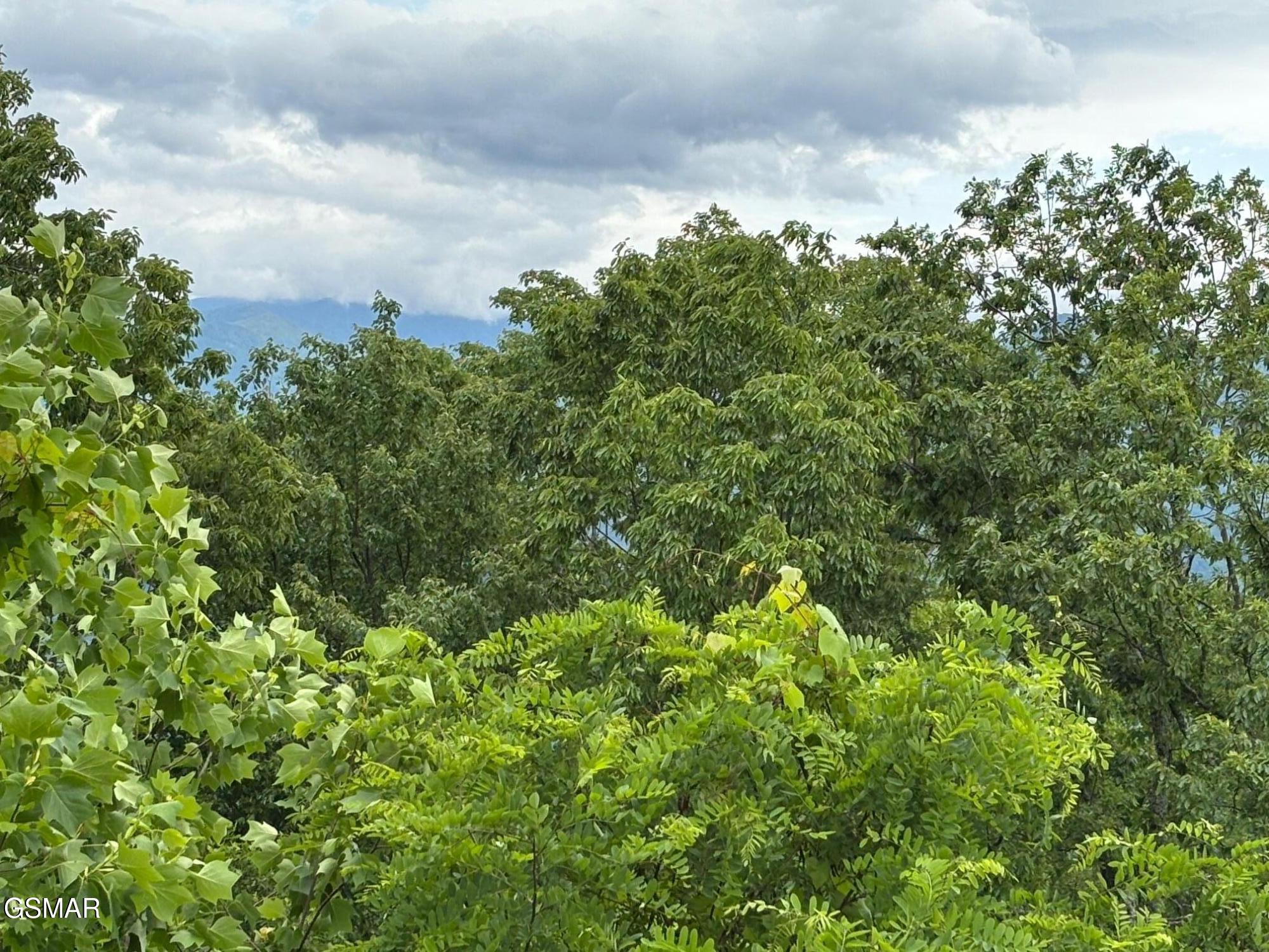 1226 Sky High Way Gatlinburg TN 37738