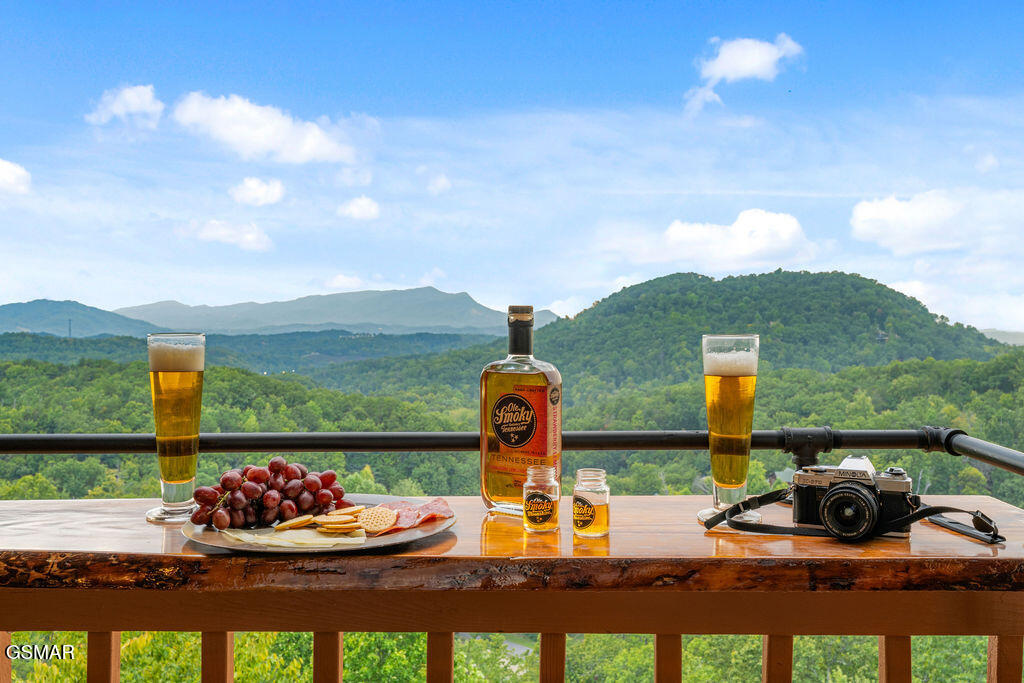 1582 Bears Den Way Sevierville TN 37862