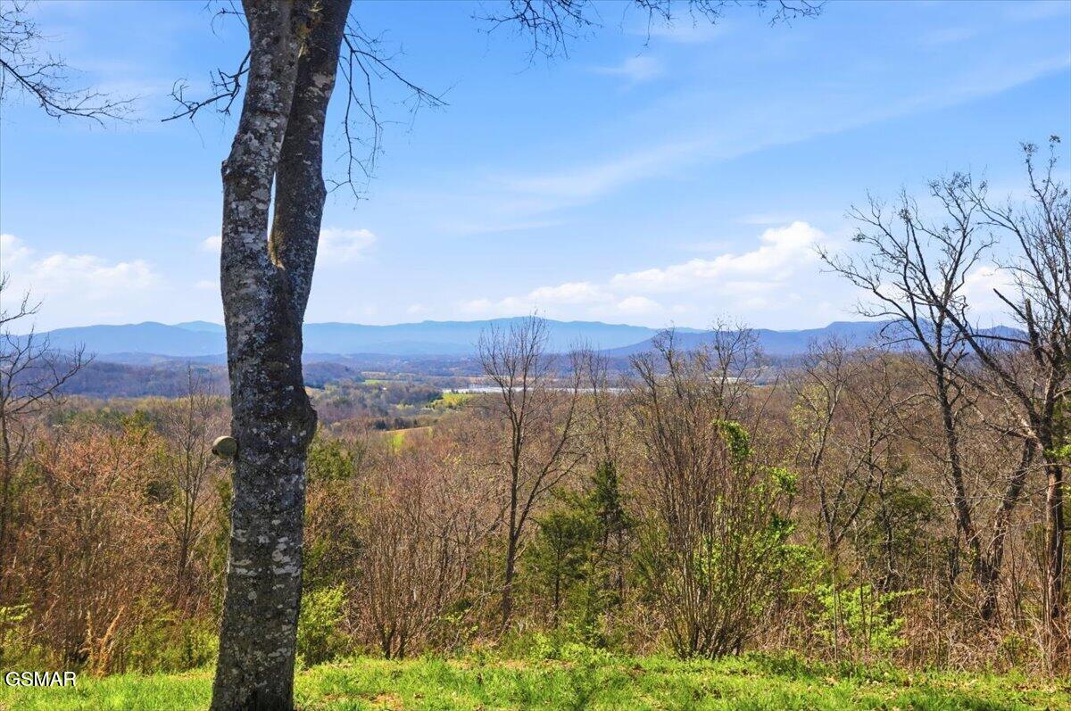 1799 Mellow Road Newport TN 37821