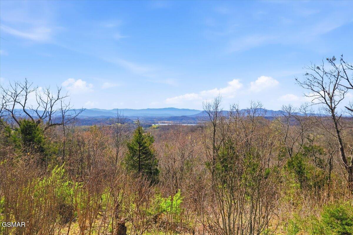 1799 Mellow Road Newport TN 37821