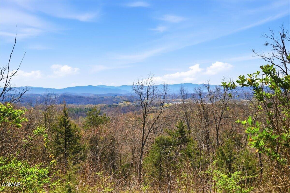 1799 Mellow Road Newport TN 37821