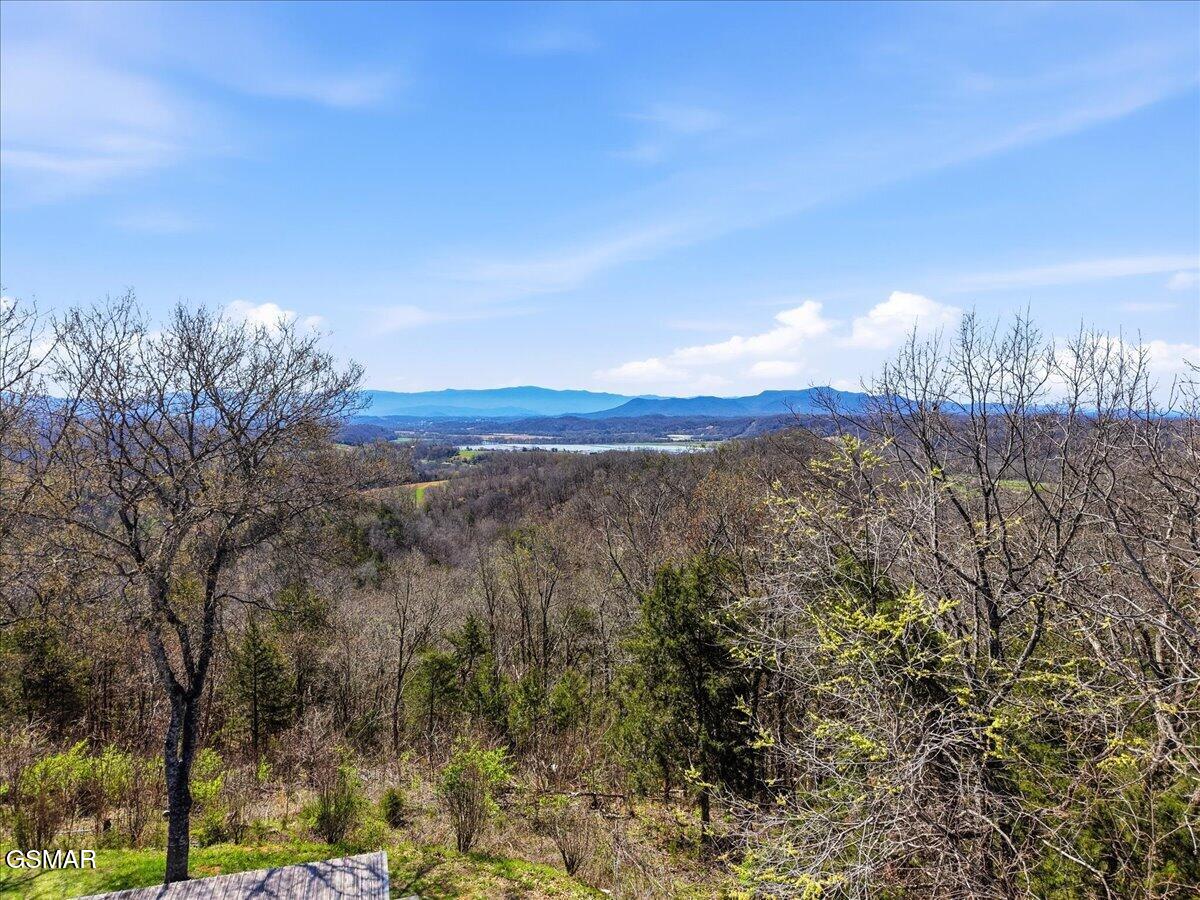 1799 Mellow Road Newport TN 37821