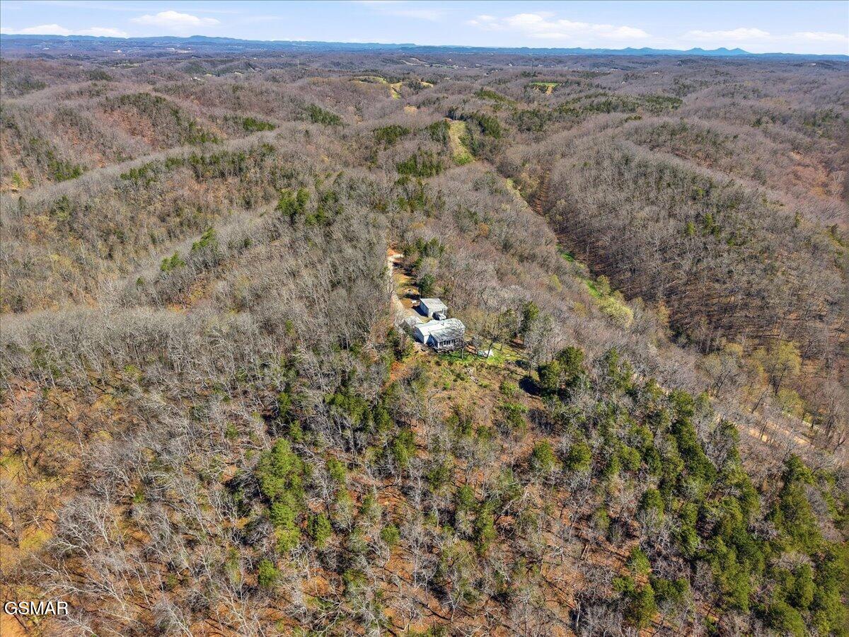 1799 Mellow Road Newport TN 37821