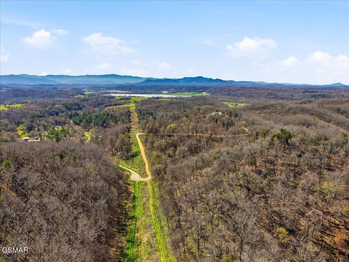 1799 Mellow Road Newport TN 37821