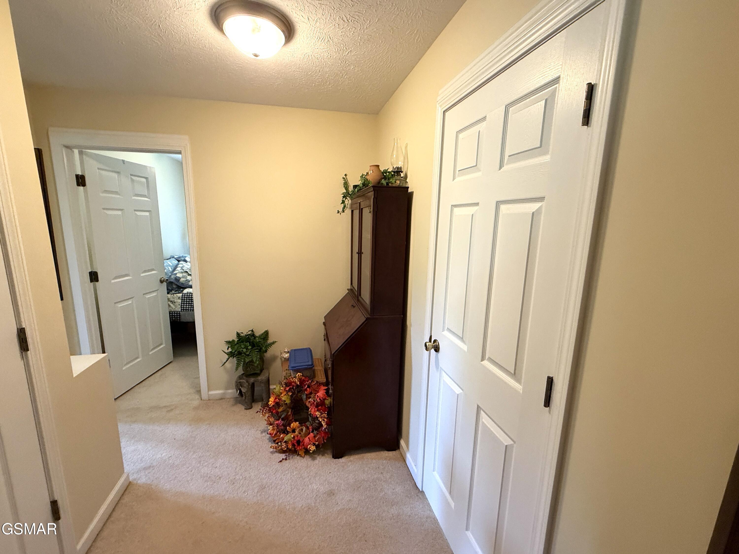 199 Pear Tree Way Del Rio TN 37727
