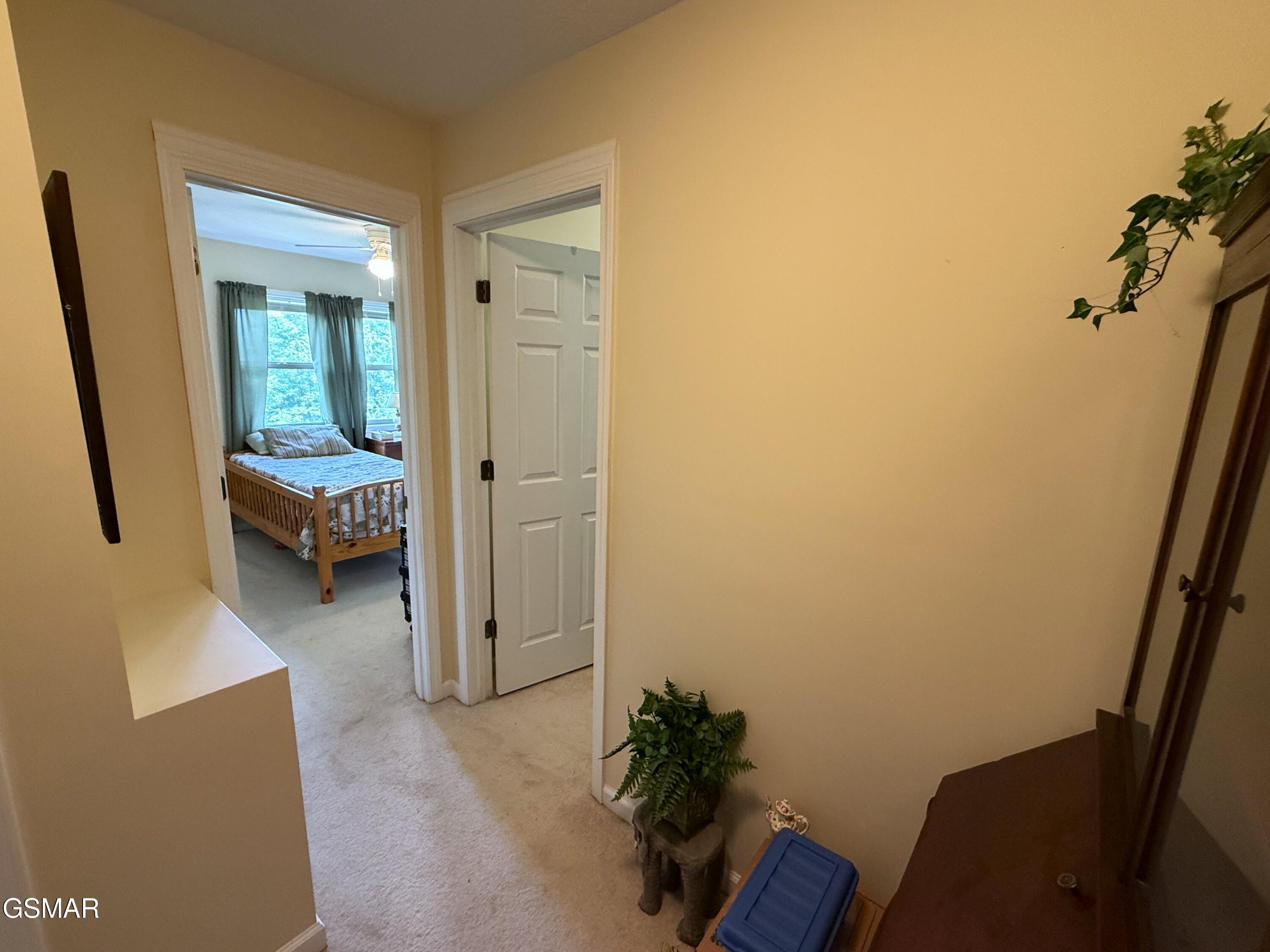 199 Pear Tree Way Del Rio TN 37727