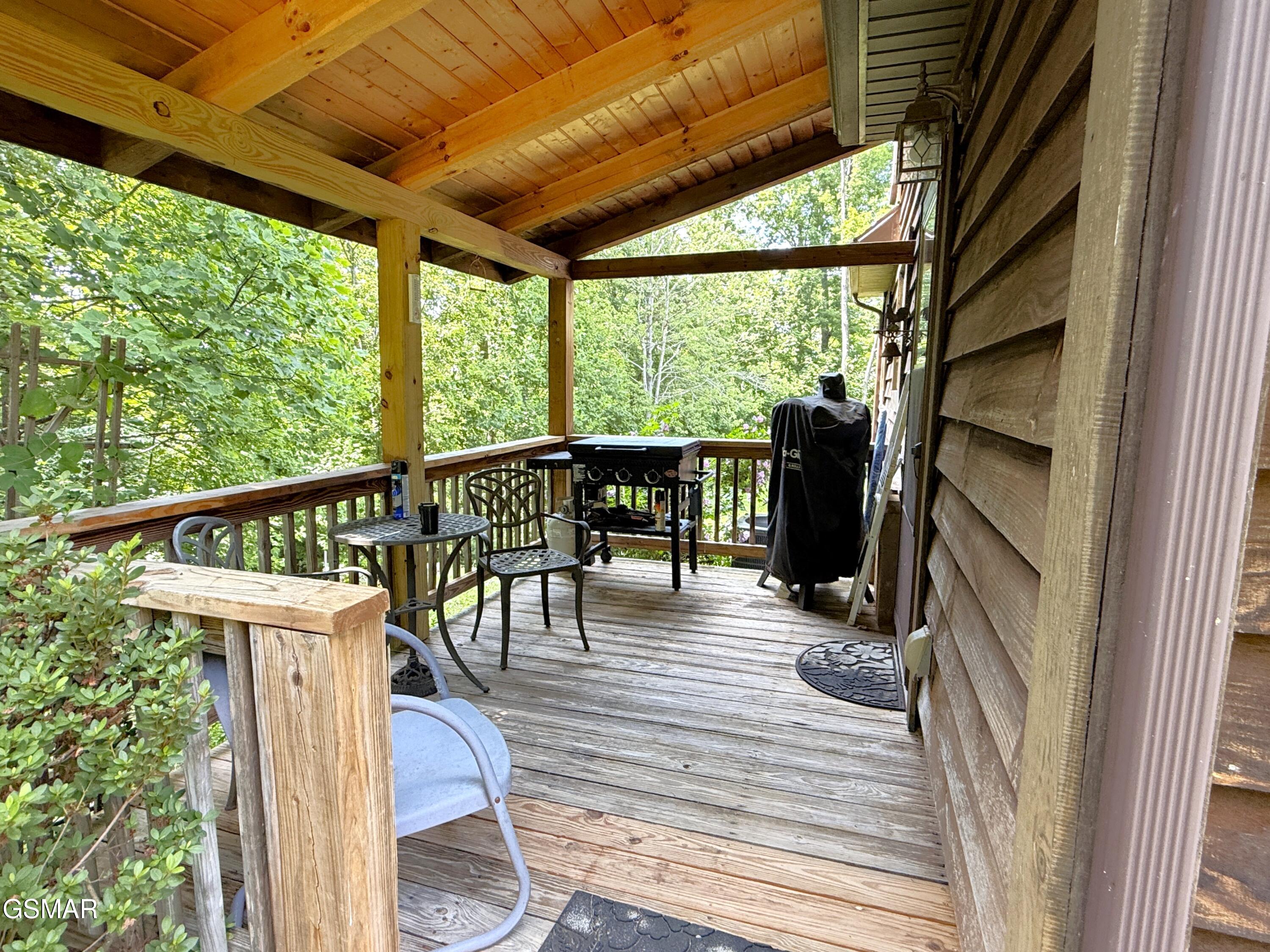 199 Pear Tree Way Del Rio TN 37727