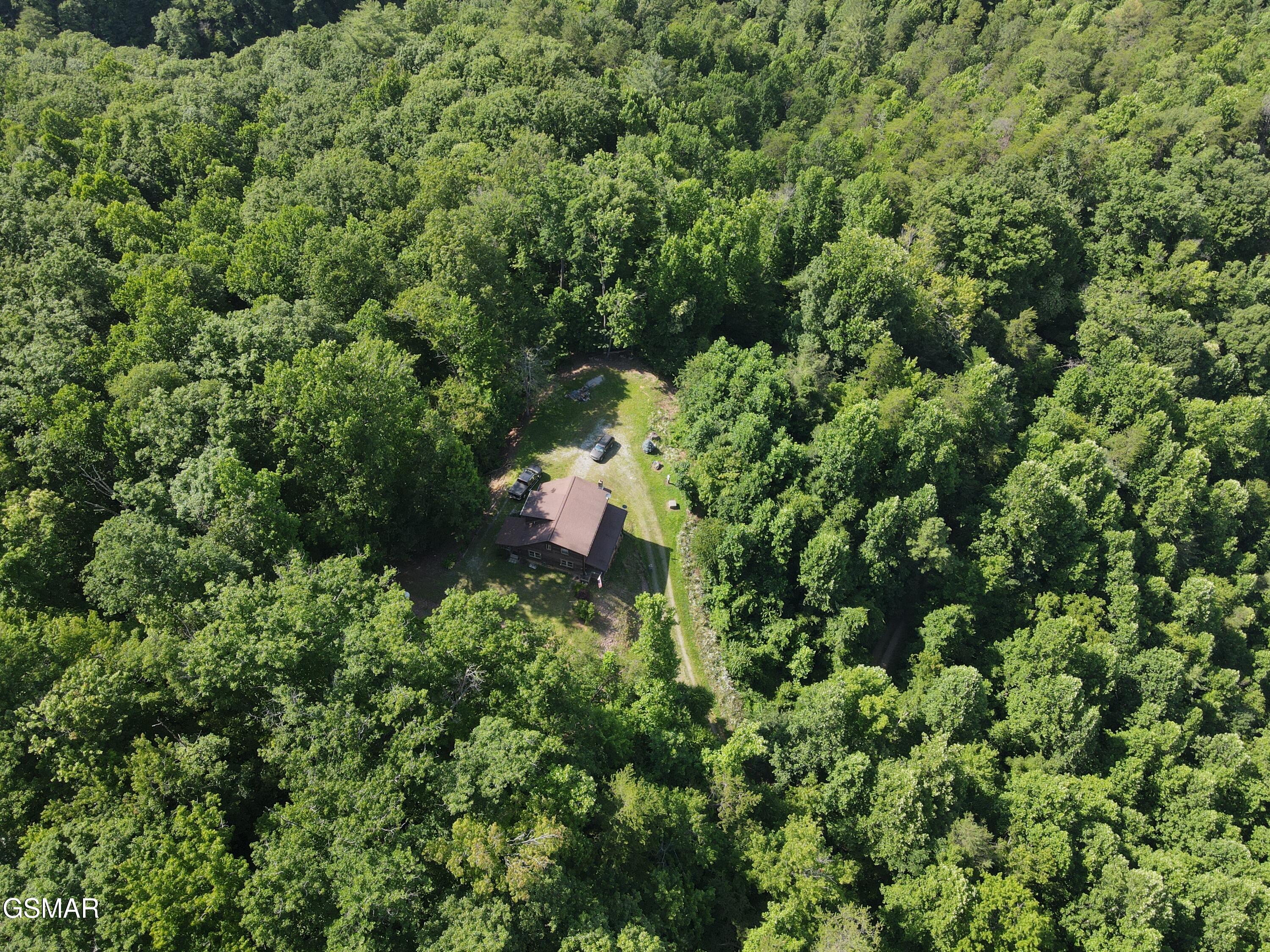 199 Pear Tree Way Del Rio TN 37727