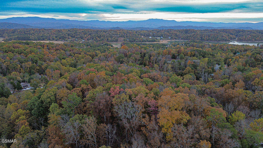 2594 Windfall Estates Drive Sevierville TN 37876