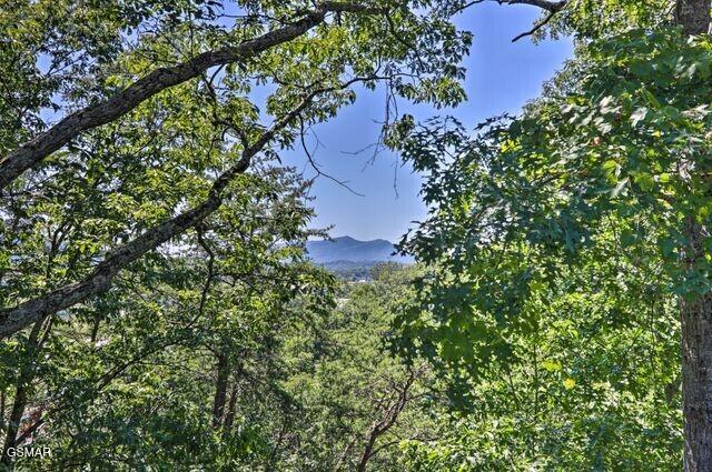 1071 Scenic Hills Road Pigeon Forge TN 37863