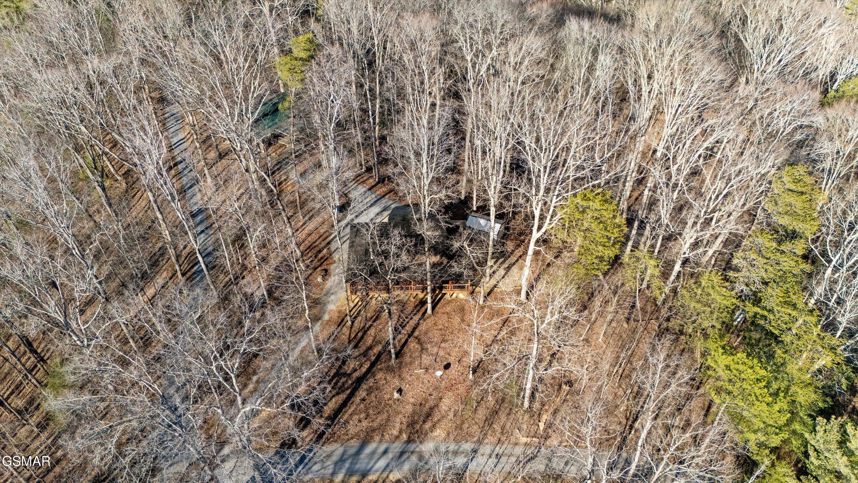 3068 Winding Way Cosby TN 37722