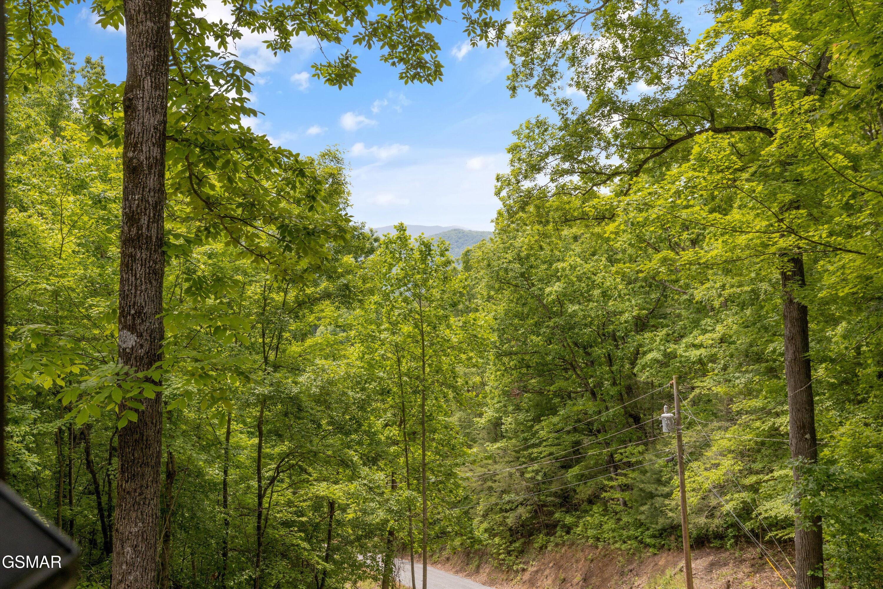 3068 Winding Way Cosby TN 37722