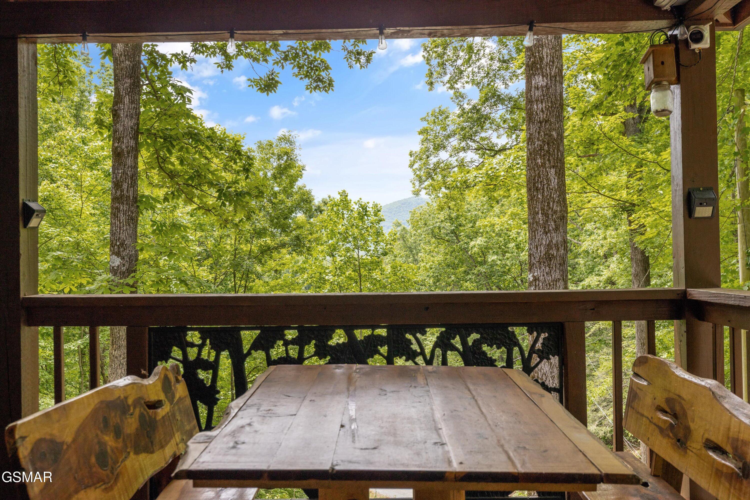 3068 Winding Way Cosby TN 37722