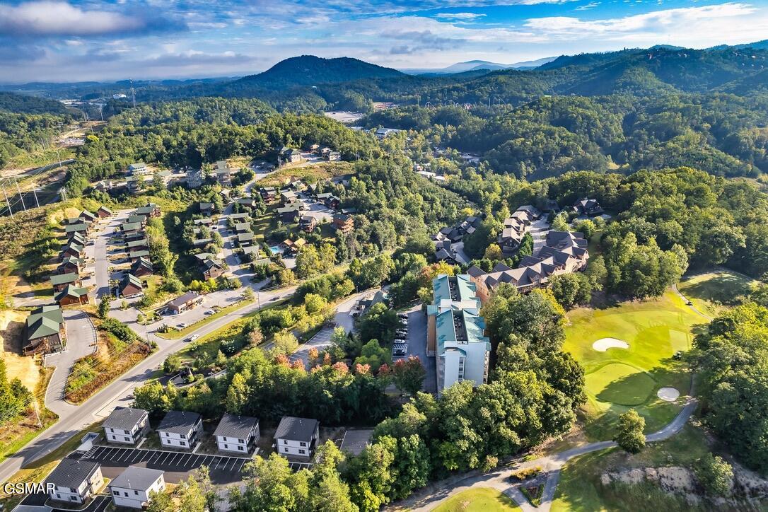 576 Dollywood Lane Unit 9 Pigeon Forge TN 37863