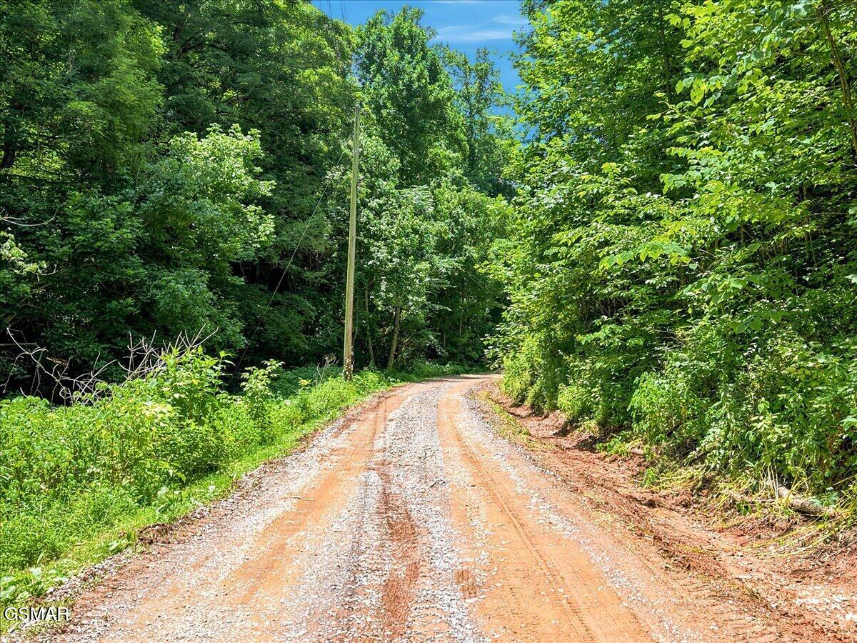 888 Baysinger Road Newport TN 37821