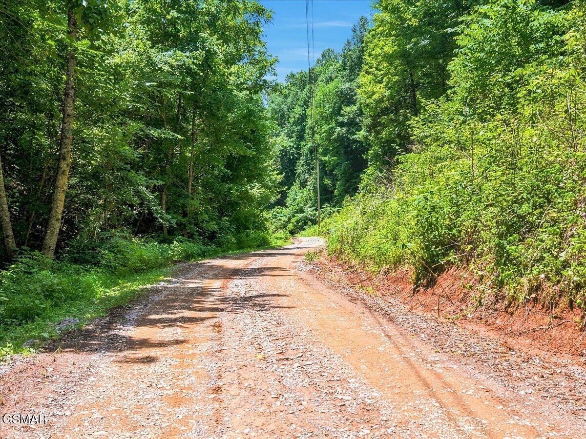 888 Baysinger Road Newport TN 37821