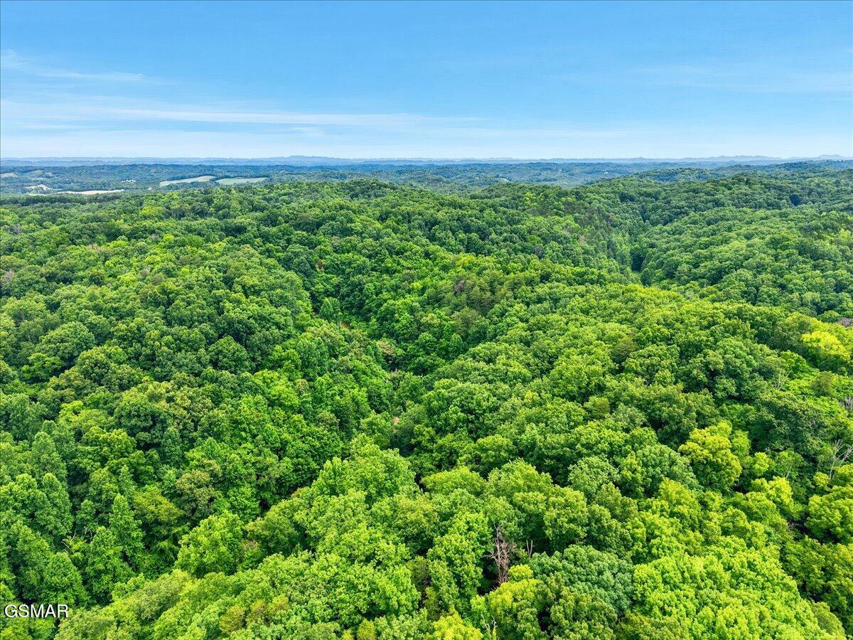 888 Baysinger Road Newport TN 37821