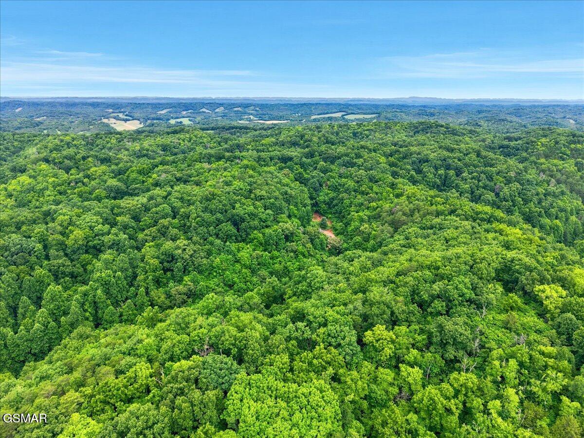 888 Baysinger Road Newport TN 37821