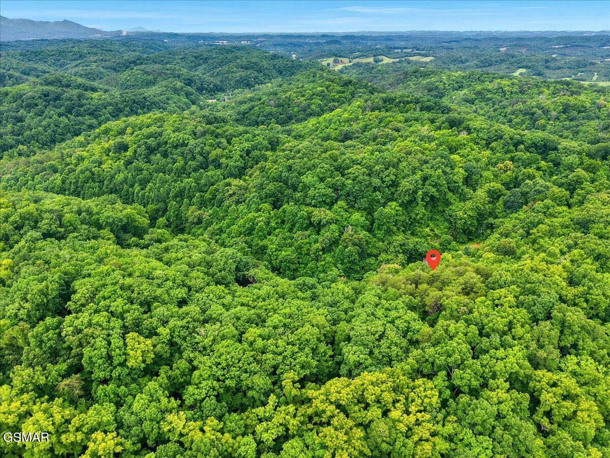 888 Baysinger Road Newport TN 37821